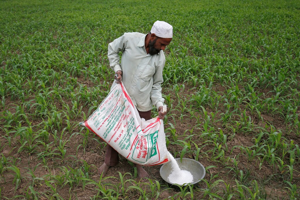 A farmer prepares to spread fertilizer in his maize field on the outskirts of Ahmedabad, India, December 21, 2017: How do we stem fertilizer dependence?