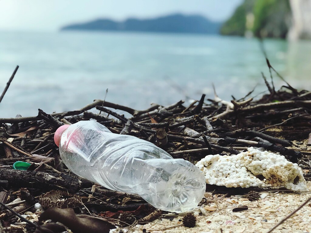 Scientists have created biodegradable plastics from spirulina, a blue-green algae that is already used in cosmetics and foods.