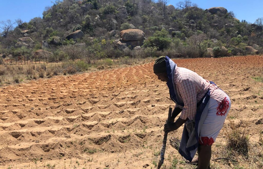 Traditional techniques modern-day problems farming Amazon