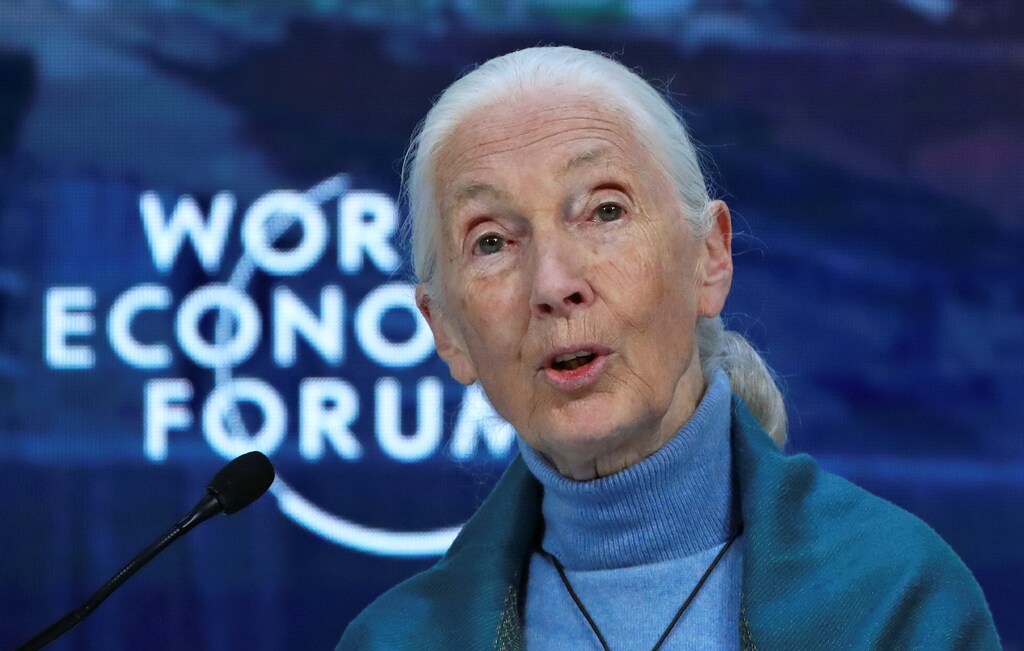 British primatologist, ethologist and anthropologist Jane Goodall attends a session at the 50th World Economic Forum (WEF) annual meeting in Davos, Switzerland, January 22, 2020. REUTERS/Denis Balibouse - RC21LE9CLFA5