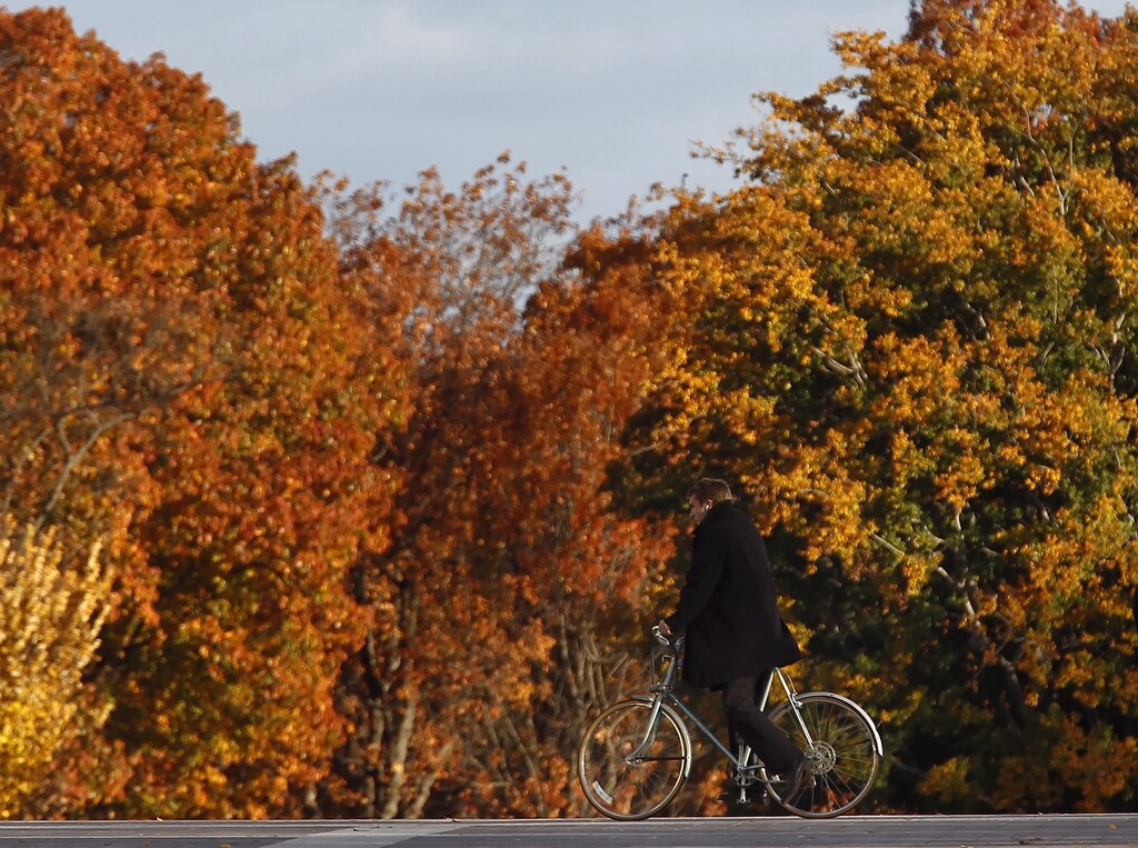 A cyclist peddles past the autumn foliage near the Capitol building on Capitol Hill in Washington, November 17, 2010. REUTERS/Jim Young (UNITED STATES - Tags: POLITICS SOCIETY) - RTXUQZH