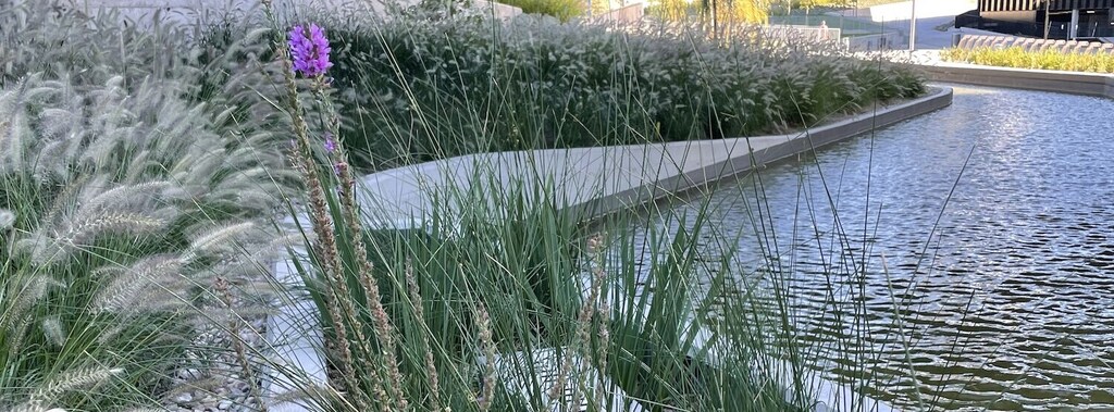 Previously an overlooked part of the clean tech sector, water-focused technologies are now coming to the fore.