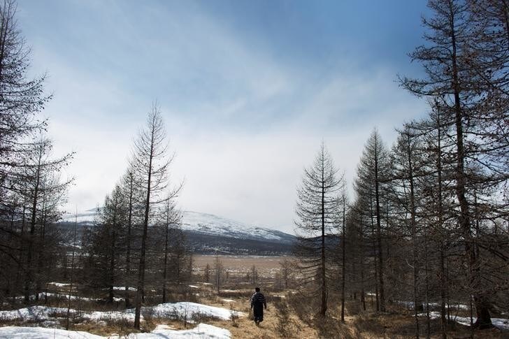 Dukha reindeer herder Erdenebat Chuluu walks through a forest to bring in his reindeer before nightfall, near the village of Tsagaannuur, Khovsgol aimag, Mongolia, April 18, 2018. The Dukha nomads have been roaming freely the vast Taiga forests of the eastern Sayan Mountains for generations until an international border was drawn between the Republic of Tuva, later part of the Soviet Union, and Mongolia in 1926. Today, the majority of the Dukha live on the Mongolian side of the border. REUTERS/Thomas Peter SEARCH "REINDEER HERDERS" FOR THIS STORY. SEARCH "WIDER IMAGE" FOR ALL STORIES.