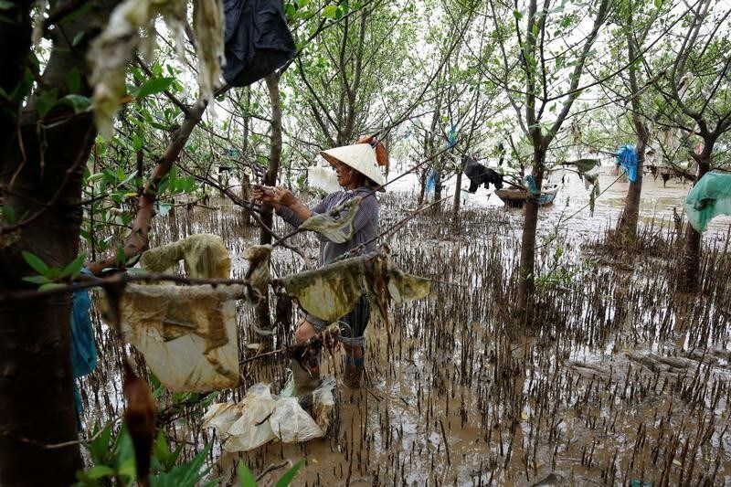 FILE PHOTO: A woman cleans plastic waste stock in trees near the beach in Thanh Hoa province, Vietnam June 4, 2018.