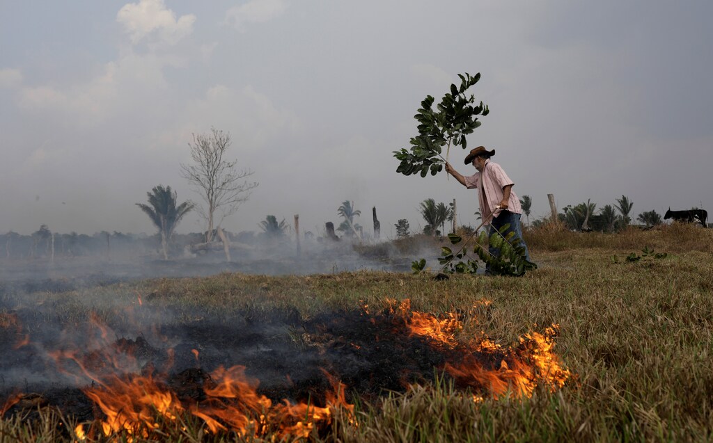Avaci, 77, who is an employee of a farm, fights a fire on a field after it was hit by a fire burning a tract of the Amazon forest as it is cleared by farmers, in Rio Pardo, Rondonia, Brazil September 16, 2019. REUTERS/Ricardo Moraes - RC1FCAB375D0