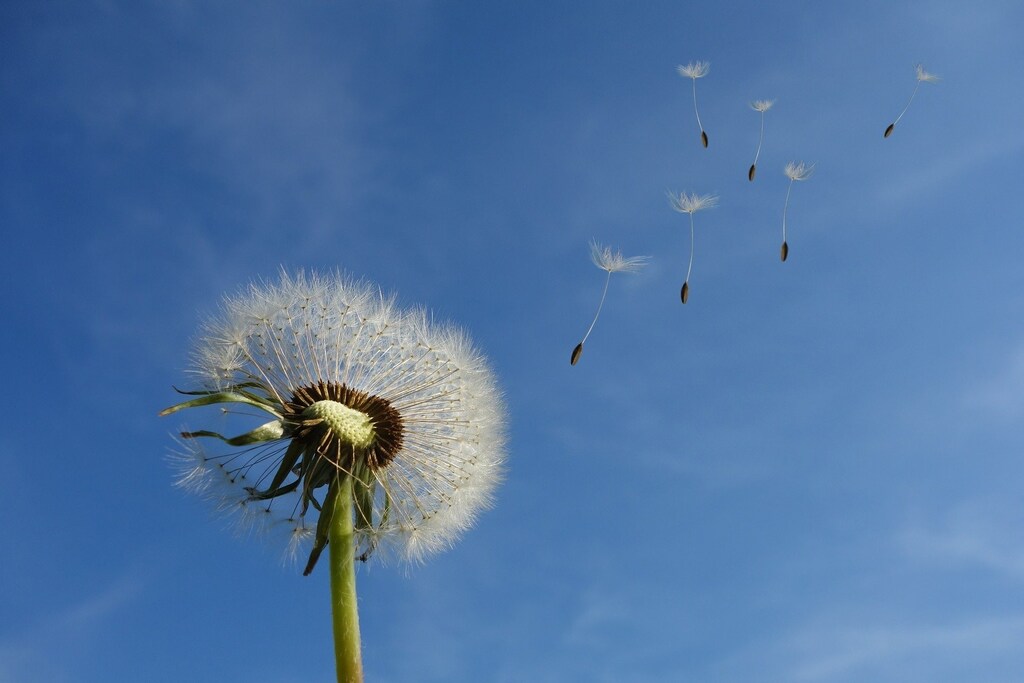 benefits-of-clean-air-price
