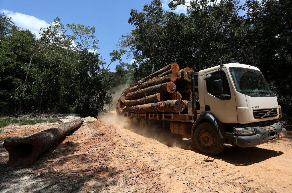 A truck is seen loaded with logs cut from the Bom Retiro deforestation area on the right side of the BR 319 highway near Humaita, Amazonas state, Brazil September 20, 2019. Picture taken September 20, 2019. REUTERS/Bruno Kelly - RC15A8D3EFF0