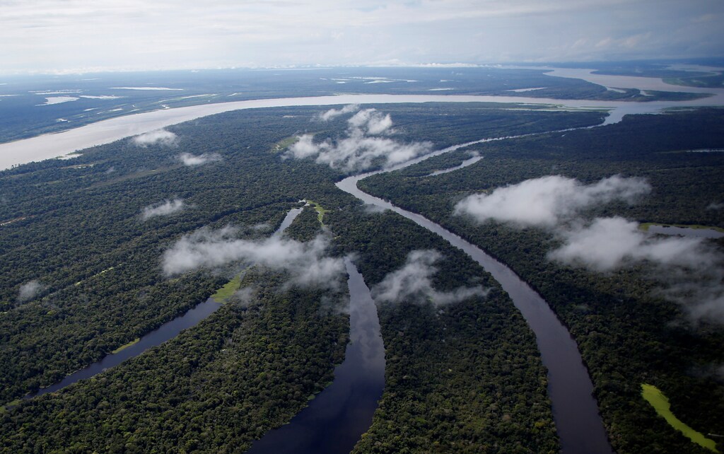 La selva amazónica vale más para nosotros intacta.