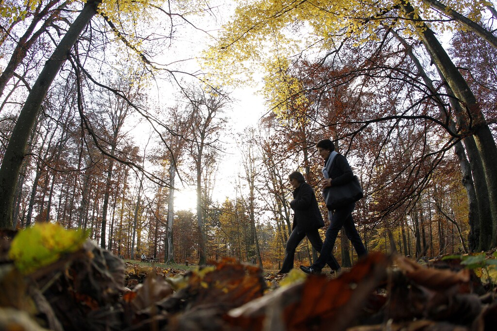 Women enjoy a walk on a leaf-covered path on a sunny and mild autumn afternoon in a forest