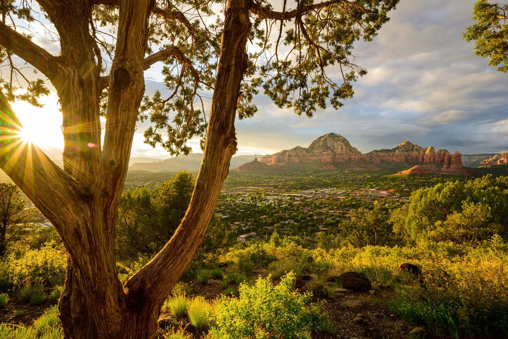 The landscape of the Soutwestern Desert in Arizona, United States: Semiconductor supply chains rely on watersheds at risk by 2030-2040