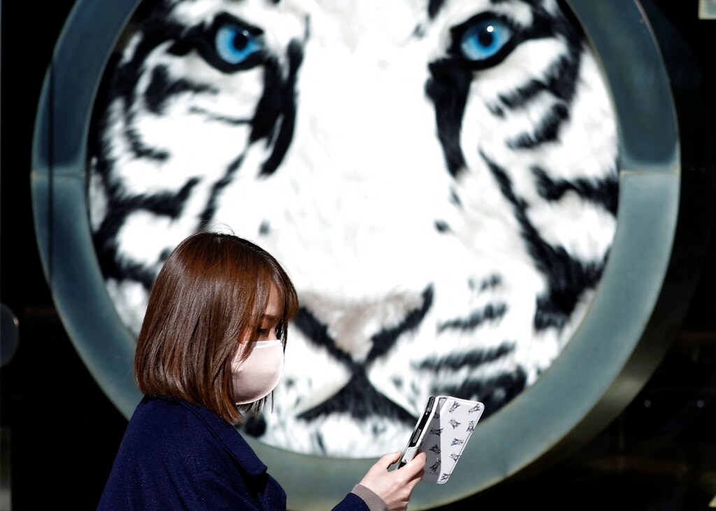 A woman wearing a protective mask walks past a show window of a department store at a shopping district, amid the coronavirus disease (COVID-19) outbreak in Tokyo, Japan, January 18, 2022. 2022 is the Chinese Lunar New Year of the Tiger. REUTERS/Kim Kyung-Hoon