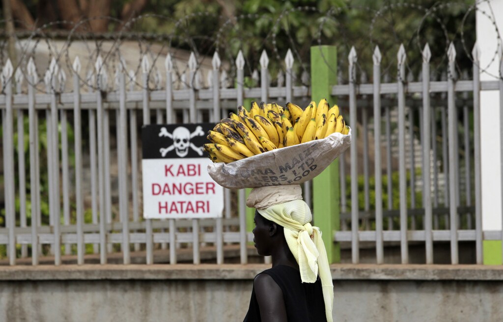 A woman carries bananas on her head as she walks along a street in Uganda's capital Kampala, February 19, 2011. Ugandan presidential election Ugandans vote in presidential and parliamentary elections on Friday. President Yoweri Museveni hopes to win a fourth term that could extend his time in office to 30 years. REUTERS/Thomas Mukoya (UGANDA - Tags: ELECTIONS POLITICS) - RTR2IT7P