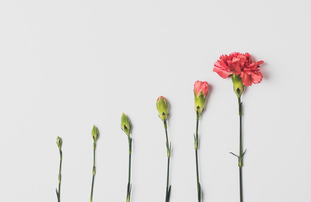 sustainable investing will become a norm