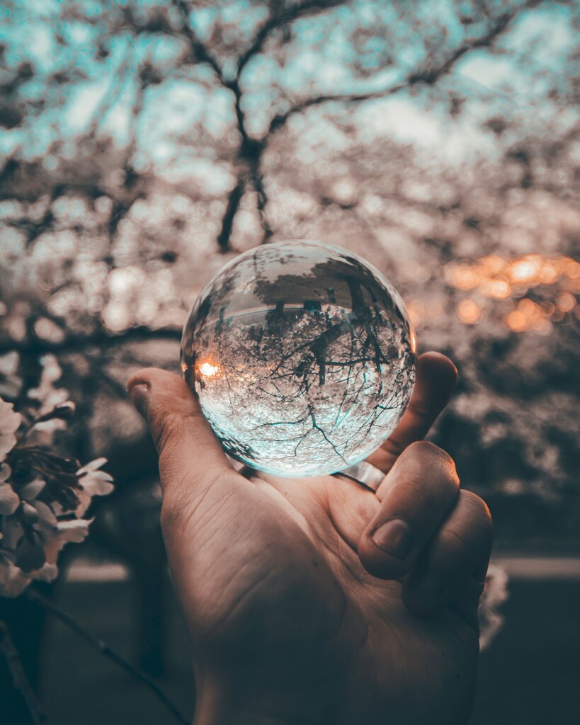 Future of Behavioural Sciences