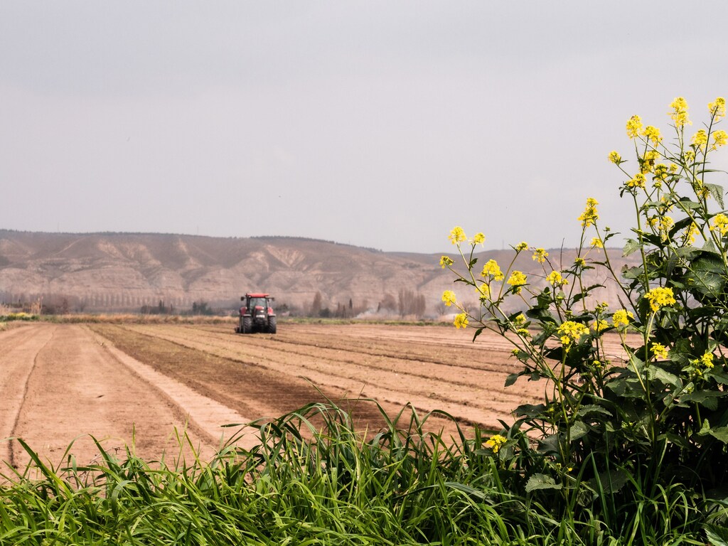 We need innovations that achieve food security in water-scarce and low-resource areas to be scaled now.