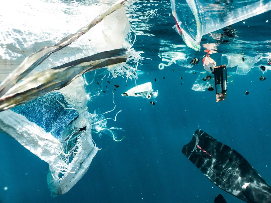 Plastic pollution in the ocean