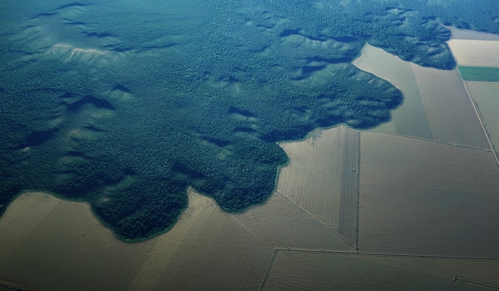 The Amazon rainforest next to converted farmland near the city of Alta Floresta, Para state, Brazil.