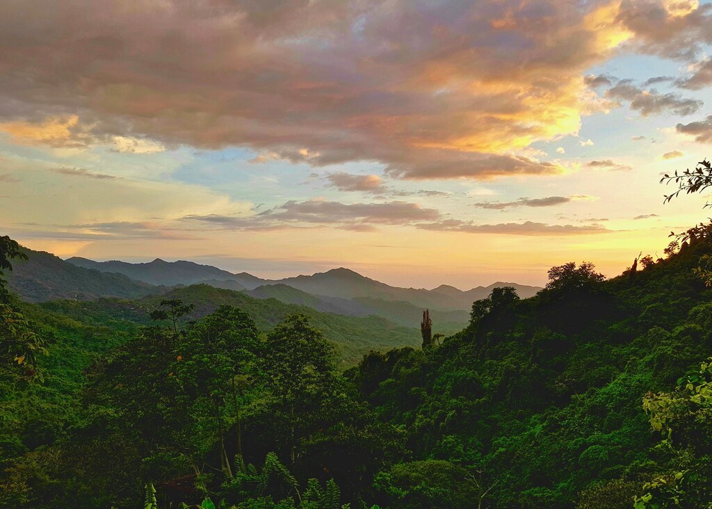 The Colombian rainforest in the Amazon, where careful investment is rebuilding ecosystems.