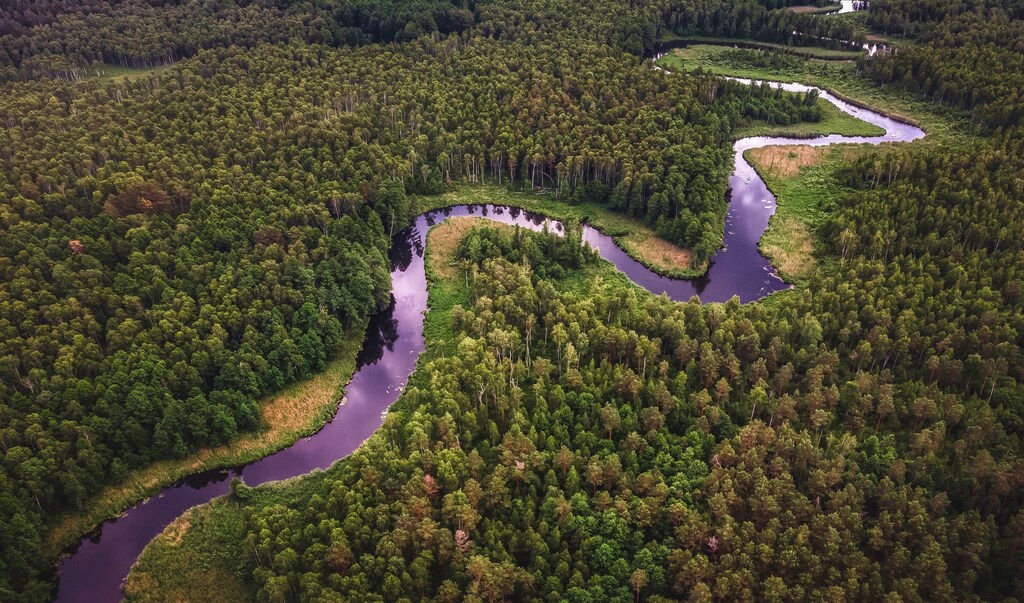 natural climate solutions