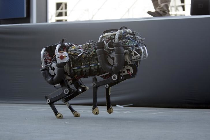 The Cheetah robot, built by MIT researchers, runs at about 10 miles per hour during a demonstration on day one of the DARPA (Defense Advanced Research Projects Agency) Robotics Challenge finals in Pomona, California, June 5, 2015. The DARPA-sponsored event drew robotic teams from around the world to compete in a series of eight challenges throughout the course. REUTERS/David McNew