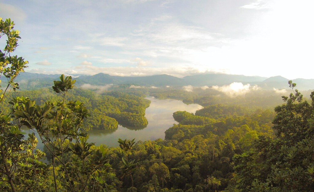 rainforest and river as more momentum on climate change urged