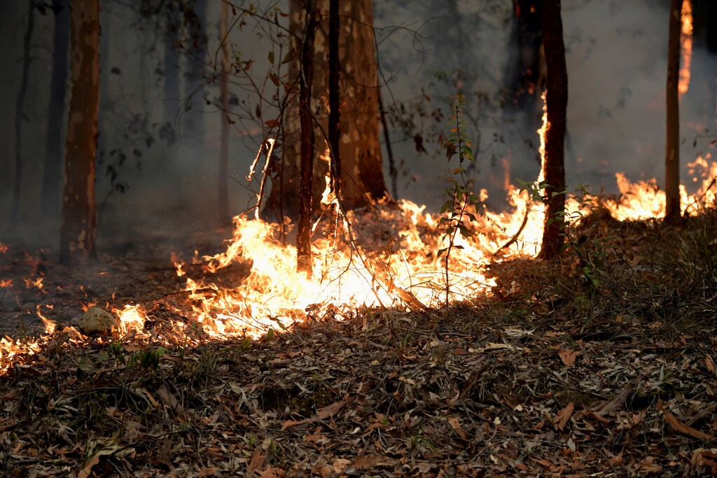 Small fires along the eastern edge of the Currowan fire still burn on the Princes Highway near in Milton, Australia January 5, 2020. REUTERS/Tracey Nearmy - RC2E9E9NNINZ