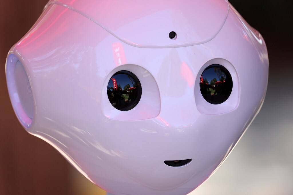 An artificial Intelligence project utilizing a humanoid robot from French company Aldebaran and reprogramed for their specific campus makes its debut as an assistant for students attending Palomar College in San Marcos, California, U.S. October 10, 2017. REUTERS/Mike Blake - RC16B2726D60