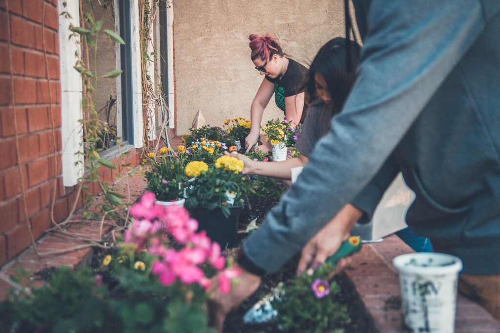 A group of people working in a community garden.