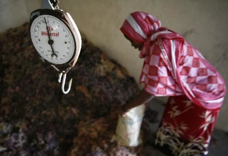 Seaweed trader Zuhura Mkuko Karo loads a sack in her warehouse in the village of Bwejuu on Zanzibar island, Tanzania, December 2, 2007. Local women have earned a degree of financial independence by farming seaweed in Zanzibar, which exports more than 10,000 tonnes a year to Asian markets, making the crop one of the Tanzanian island's main foreign currency earners after tourism. Picture taken December 2, 2007. REUTERS/Finbarr O'Reilly (TANZANIA)