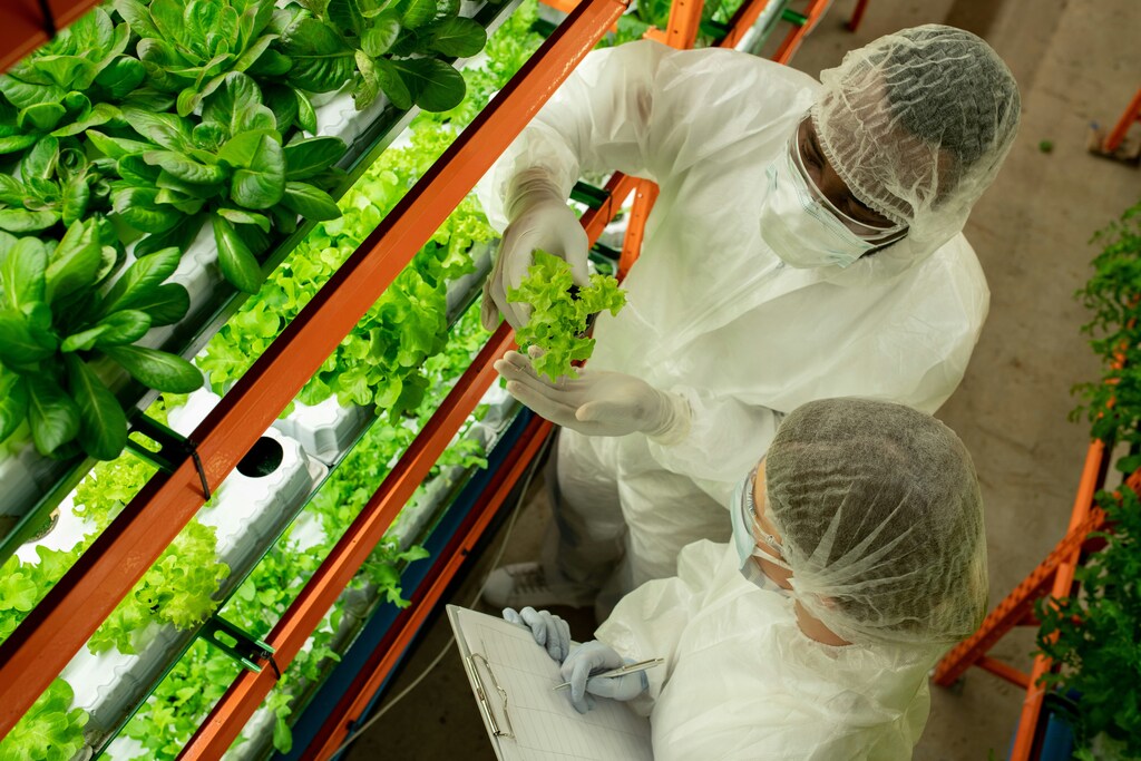 Vertical farming can still become a sustainable and scalable solution for modern food production.