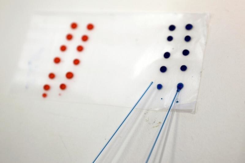 Fruit fly food containing ethanol (blue) and without ethanol (red) is prepared in a laboratory at the Bar-Ilan University, in Ramat Gan, Israel, May 1, 2018. Picture taken May 1, 2018.