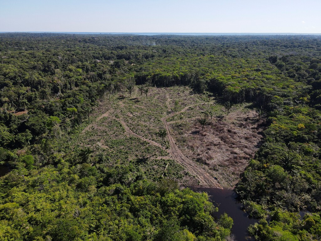 An aerial view shows deforestation in the Amazon rainforest in Manaus, Amazonas State, Brazil. Addressing deforestation effectively means first preventing the destruction of forests, managing resources and then restoration.