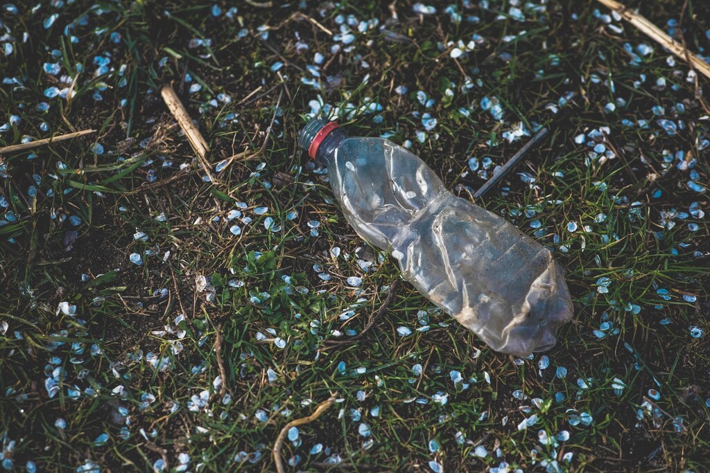 A crumpled plastic bottle on grass