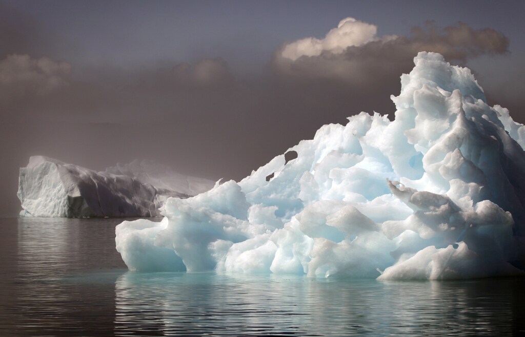 Icebergs float in a fjord near the south Greenland town of Narsaq July 28, 2009.