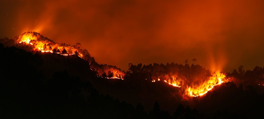 Exposure to wildfire smoke can trigger asthma attacks, make it difficult to breathe, and worsen other respiratory problems.