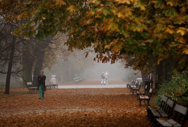 A woman walks during a foggy autumn day in a park in Warsaw, Poland October 23, 2019. REUTERS/Kacper Pempel - RC110C3D94A0