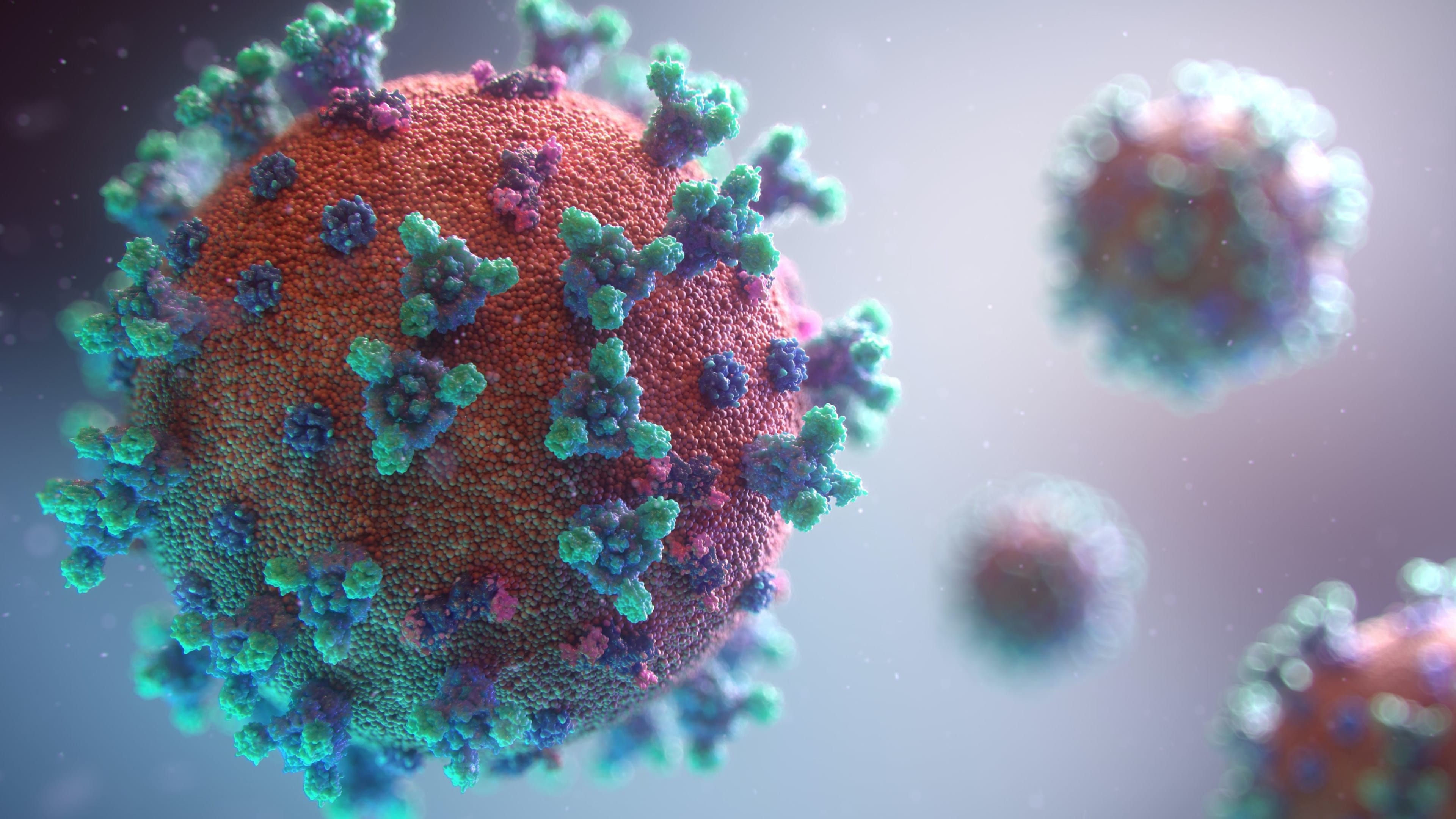 View of the COVID-19 virus.