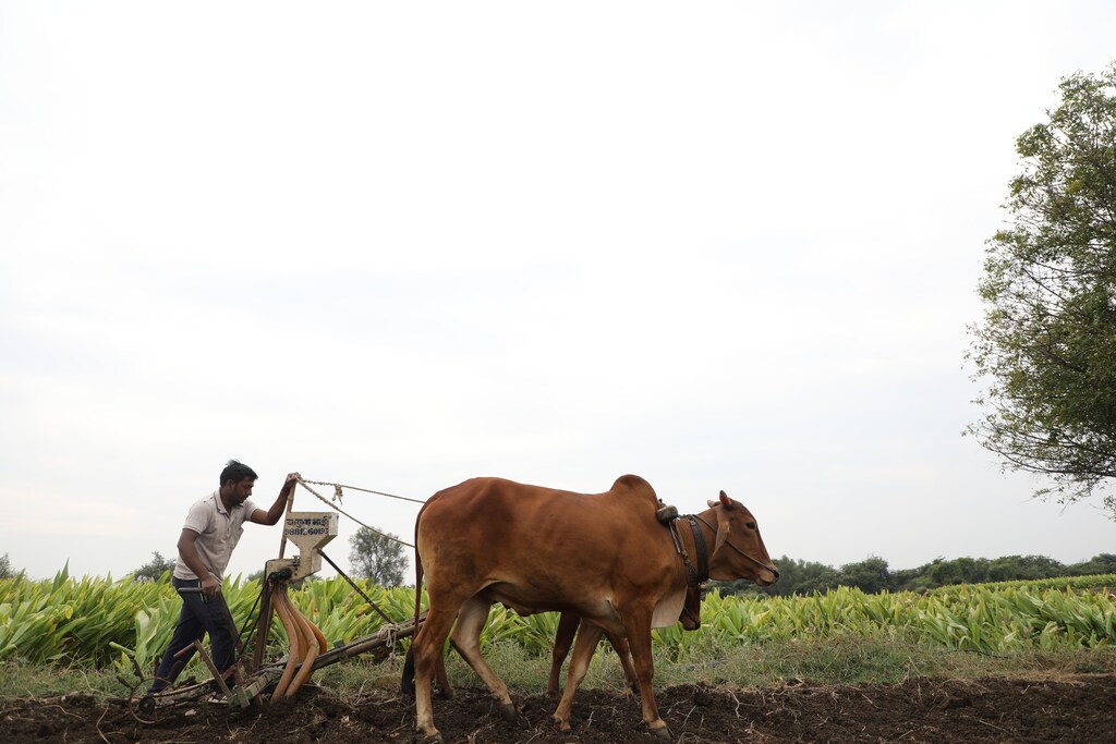 The vision of digital public infrastructure for agriculture focuses on improving the livelihoods of farmers, and efficiency, inclusivity and sustainability of the AgTech sector.