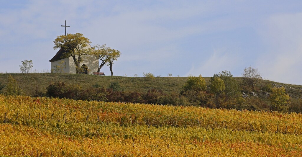 The Bolenberg chapel sits on a rise overlooking vineyards where leaves change colors to mark a change in the season in Orschwihr in the Alsace region of France, October 12, 2015.