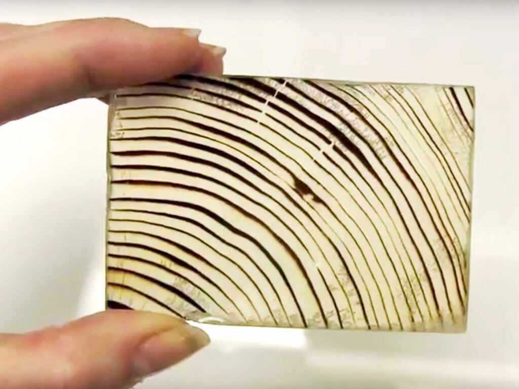 A slice of wood that has been partially processed to show the timber's grain.