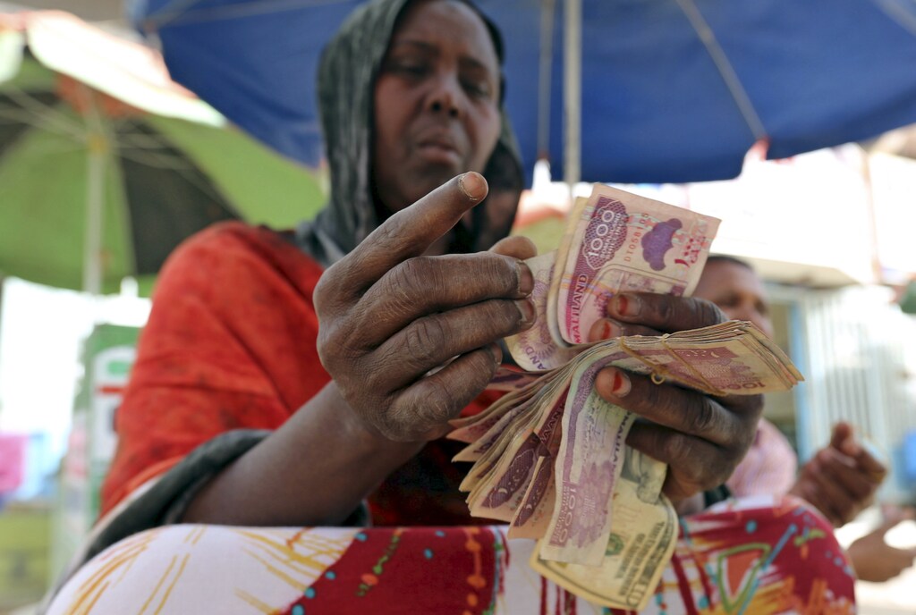A money changer counts local currency notes at a local bureau where $100 US dollar exchanges for 750,000 Somaliland shillings in Hargeysa May 19, 2015 REUTERS/Feisal Omar - RTX1DNUE