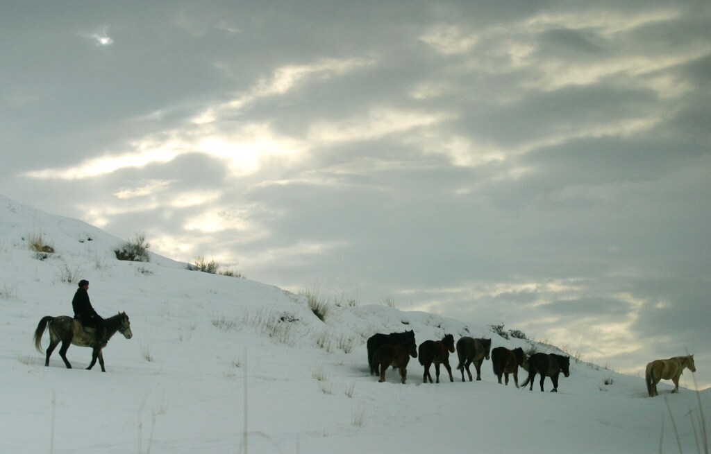 A Kyrgyz man rides with a herd of horses near the village of Cheyek in the Tien Shan mountains some 200 km (124 miles) south of the capital Bishkek February 4, 2006. Picture taken February 4, 2006. REUTERS/Vladimir Pirogov - RP3DSFDUPRAA
