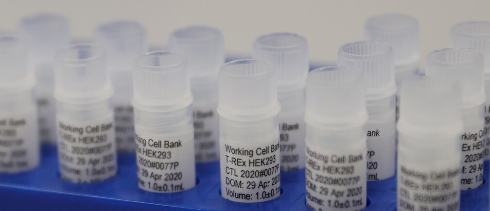 El equipo de un laboratorio británico que trabaja en una potencial vacuna para COVID-19.