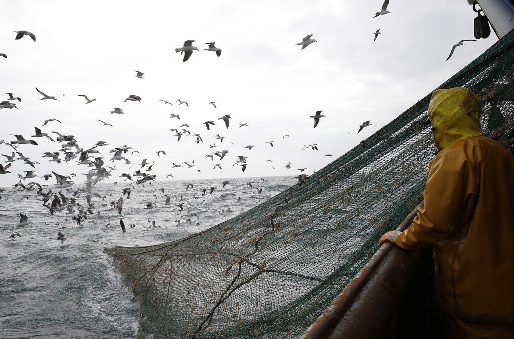Fishermen on the Boulogne sur Mer based trawler "Nicolas Jeremy" raise the fishing nets, off the coast of northern France October 21, 2013. Fishermen will not get European Union subsidies to build new vessels, EU lawmakers agreed on October 23. Voting on how to allocate nearly 1 billion euros ($1.4 billion) in annual fisheries subsidies up to 2020, the European Parliament said more money should be spent on assessing the state of Europe's depleted stocks. If confirmed in talks with governments, the proposals could spell relief for the estimated 75 percent of EU fish stocks that the European Commission says are over-fished. Picture taken October 21, 2013. REUTERS/Pascal Rossignol (FRANCE - Tags: BUSINESS MARITIME ENVIRONMENT POLITICS)ATTENTION EDITORS: PICTURE 08 OF 24 FOR PACKAGE 'COD, QUOTAS AND CONSERVATION' SEARCH 'NICHOLAS JEREMY' FOR ALL IMAGES - GM1E9AO05UN01