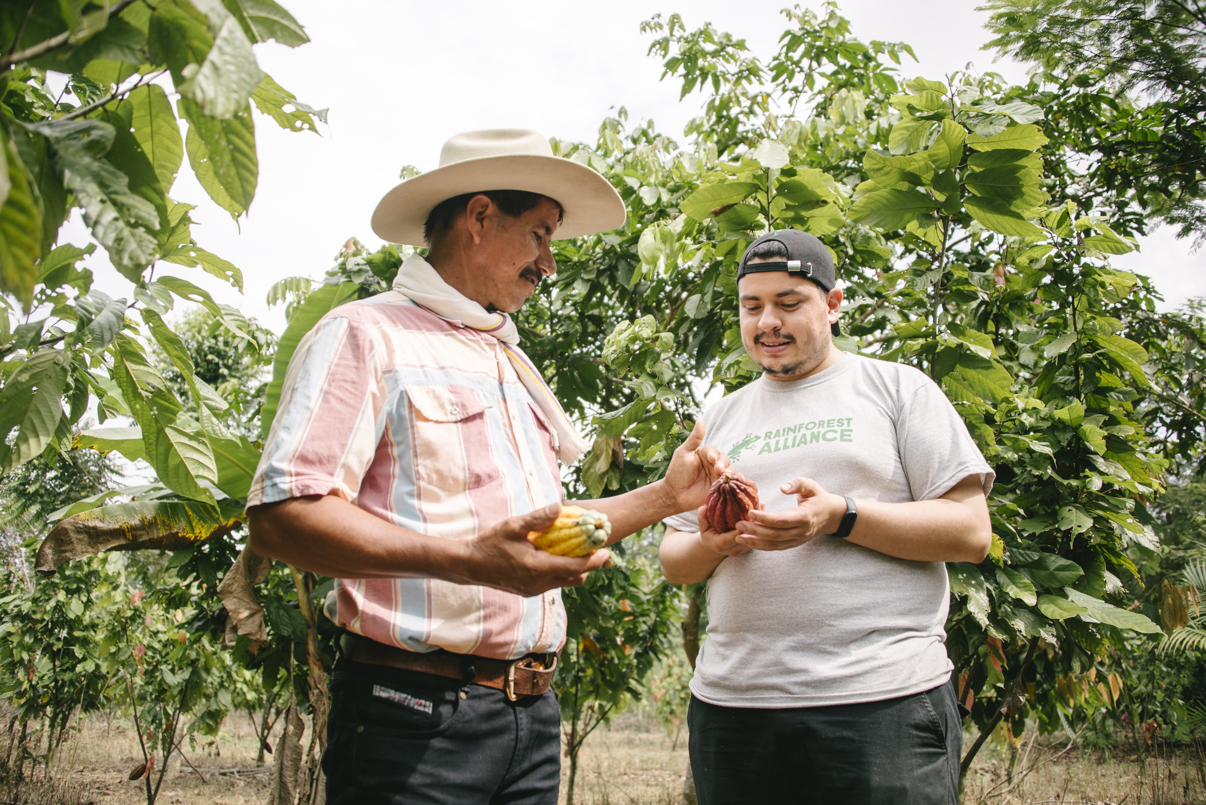 Two coffee farmers in Columbia examine plant: Companies should practice radical transparency in their supply chains to combat greenwashing.