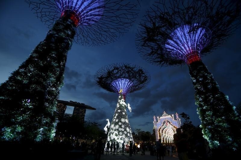 People visit Christmas festivities amongst Supertrees structures at the Gardens by the Bay in Singapore, December 14, 2015. The humble Christmas tree has a rich history, from evergreen trees used to symbolise eternal life in Ancient Egypt to tree worship among pagan Europeans. The modern version has its origins in Germany, where the song "O Tannenbaum" is still a festive favourite. Today the traditional tree with lights and decorations appears in cities including Washington, Moscow and Beirut. Alternative constructions range from recycled rubbish in Mexico City to old window frames in Rakvere, Estonia. Whatever the shape or size, the message is the same: Merry Christmas. REUTERS/Edgar SuPICTURE 5 OF 28 - SEARCH "GLOBAL TREES" FOR ALL IMAGES - GF10000270417