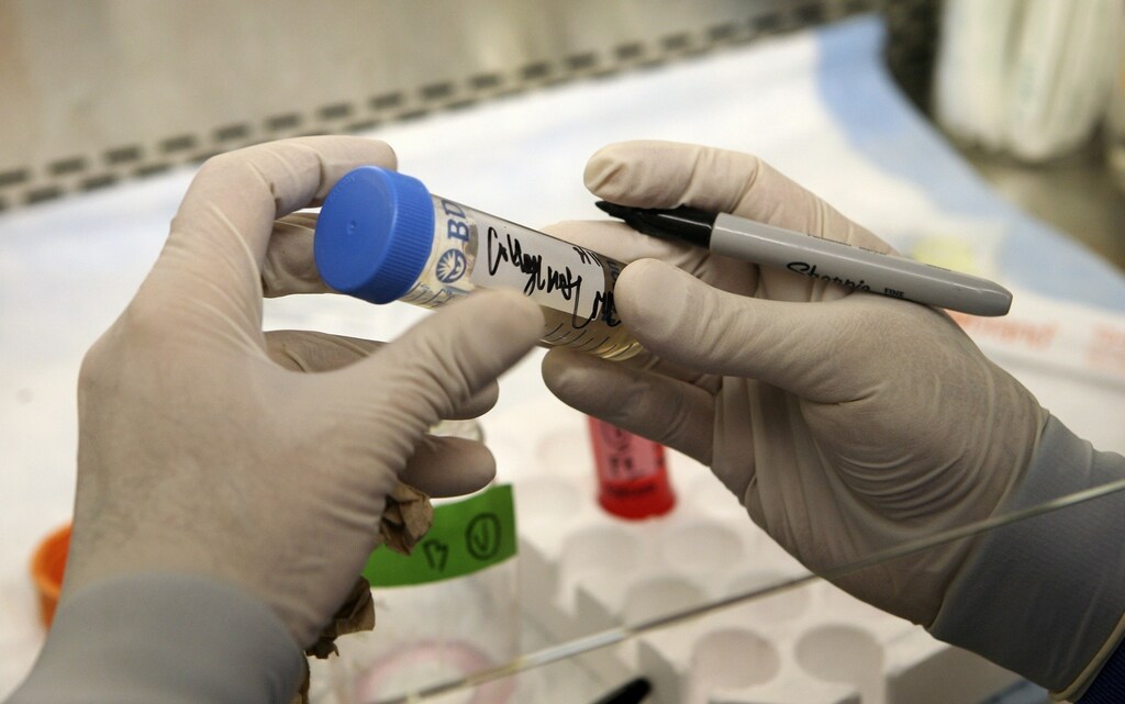 Miko Kapidzic, a specialist for extra-embryonic stem cells, works at the Eli and Edythe Broad Center of Regeneration Medicine and Stem Cell Research at the University of California San Francisco in San Francisco March 10, 2009. President Barack Obama lifted restrictions on federal funding of human embryonic stem cell research on Monday, angering abortion opponents but cheering those who believe the study could produce treatments for many diseases. REUTERS/Robert Galbraith (UNITED STATES SOCIETY SCI TECH POLITICS) - RTXCM4F