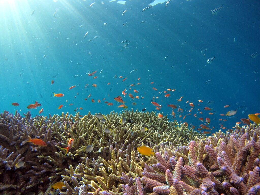 Restoring ocean health is an urgent issue.