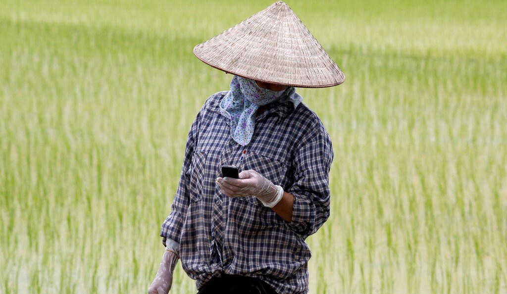A farmer reads a message on a cell phone while working on a rice paddy field outside Hanoi, Vietnam