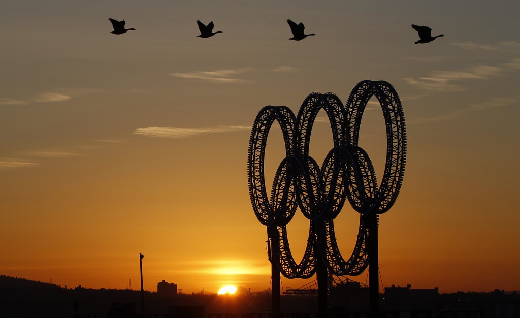 A flight of geese passes the Olympic rings, afloat on a barge in Vancouver's harbour, at dawn as the Vancouver 2010 Winter Olympics continues February 20, 2010. REUTERS/Chris Helgren (CANADA - Tags: ANIMALS SPORT OLYMPICS IMAGES OF THE DAY) - GM1E62L093701